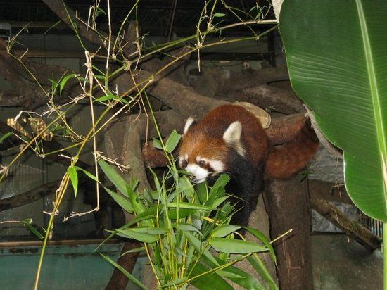 Yangon Zoological Gardens